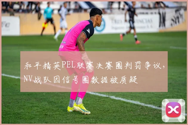 和平精英PEL联赛决赛圈判罚争议,NV战队因信号圈数据被质疑